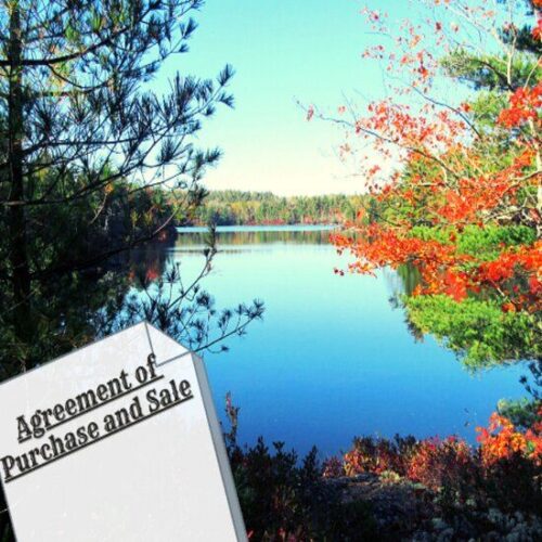 Are You Really Prepared to Buy a Farm Property? Ask Yourself These Questions First